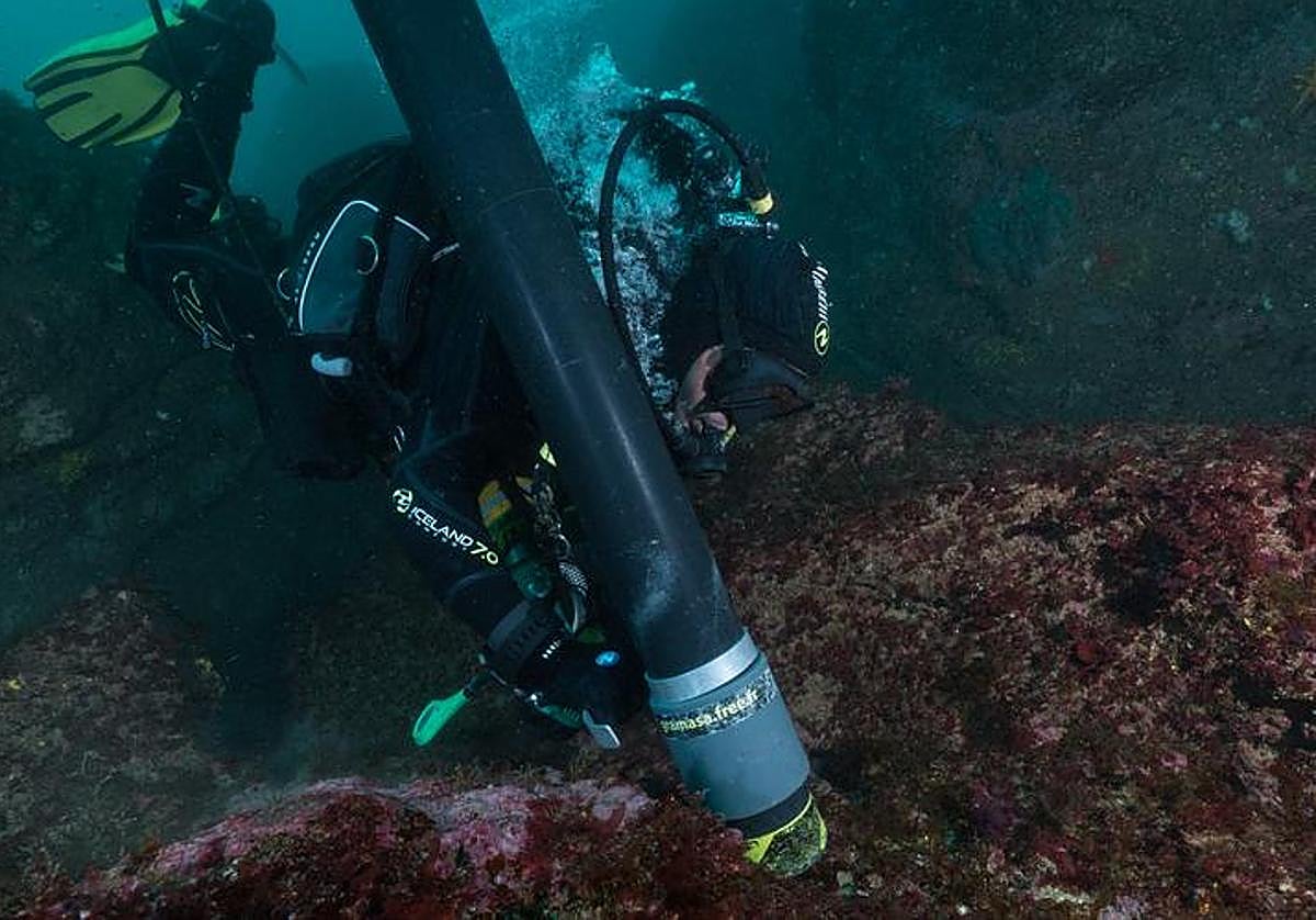 әйелінің есектерінің жақын түсірілімі